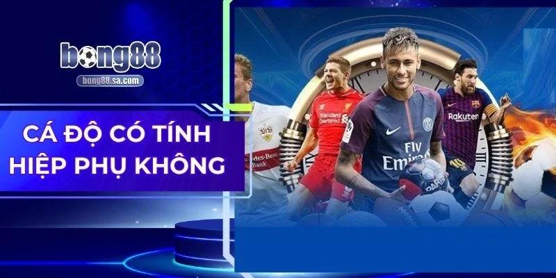 Cá Độ Có Tính Hiệp Phụ Không - Giải Mã Chuẩn Xác Nhất