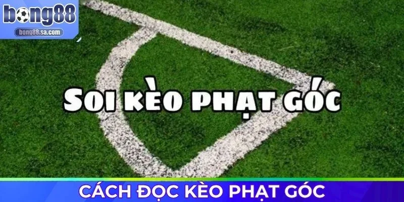 Cách đọc kèo phạt góc dễ hiểu cho người mới chơi