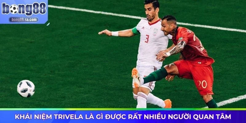 Khái niệm trivela là gì được rất nhiều người quan tâm