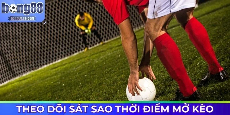 Theo dõi sát sao thời điểm nhà cái mở kèo